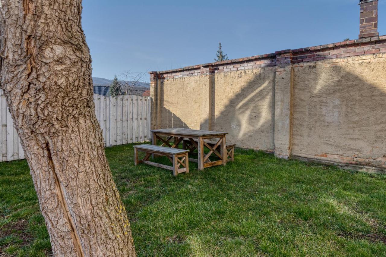 Ferienwohnungen Ziesing Thale Bagian luar foto